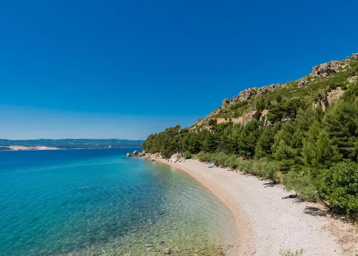 Ivka-omis By Guide Katuni